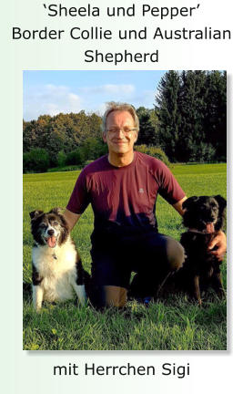 ‘Sheela und Pepper’ Border Collie und Australian Shepherd mit Herrchen Sigi