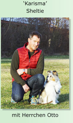 ‘Karisma’ Sheltie mit Herrchen Otto