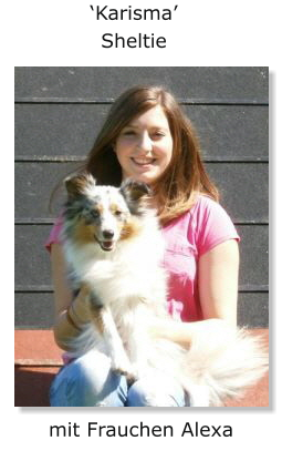 ‘Karisma’ Sheltie mit Frauchen Alexa