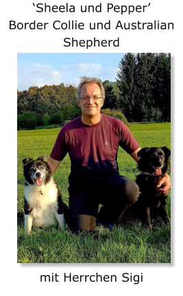 ‘Sheela und Pepper’ Border Collie und Australian Shepherd mit Herrchen Sigi