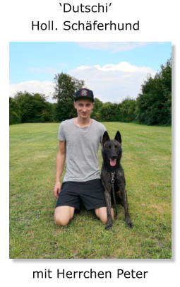 ‘Dutschi’ Holl. Schäferhund mit Herrchen Peter
