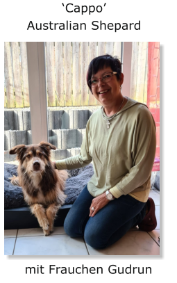 ‘Cappo’ Australian Shepard mit Frauchen Gudrun